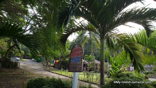 dunns_river_falls_and_park