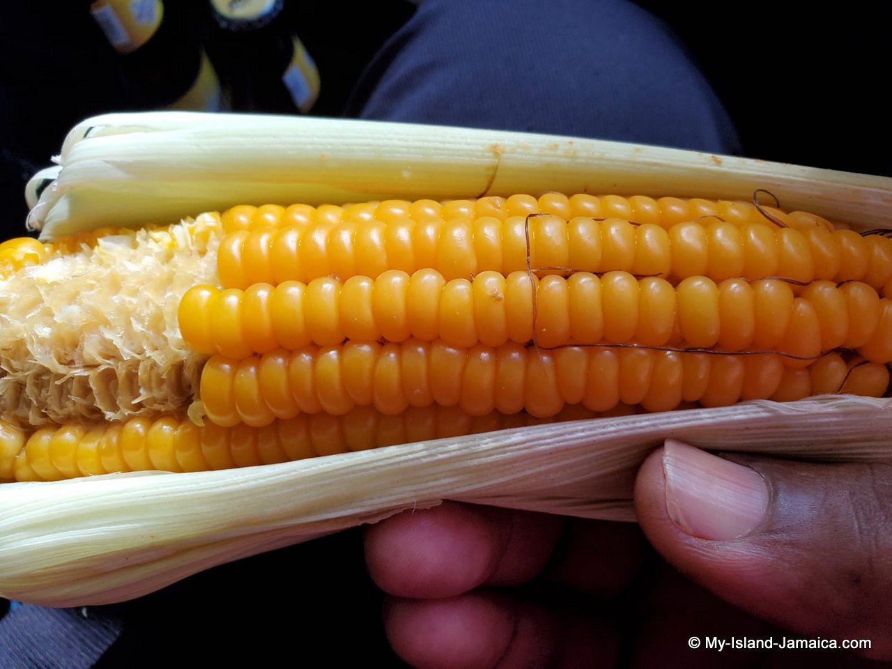 eating_boiled_corn_jamaican_style