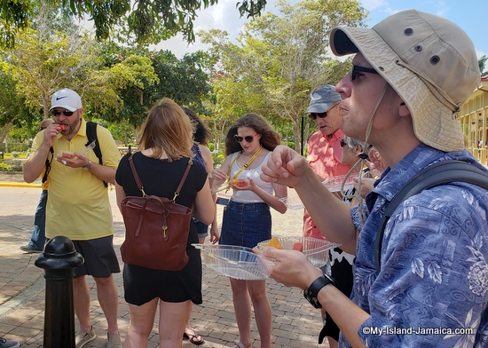 falmouth_jamaica_food_tour_fruit_tasting