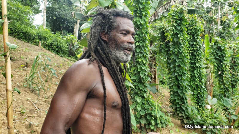 I had the pleasure of visiting JahB's farm in the hills recently. Talk about organic subsistence farming in Jamaica? This is it! I have the pictures and video.