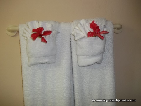 fdr_resort_in_jamaica_bathroom_clean