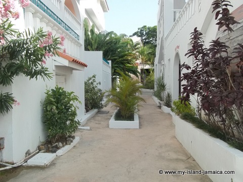 property at fdr resort jamaica