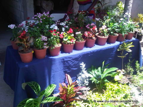 flowers_wag_water_valley_committee_mothers_day_brunch