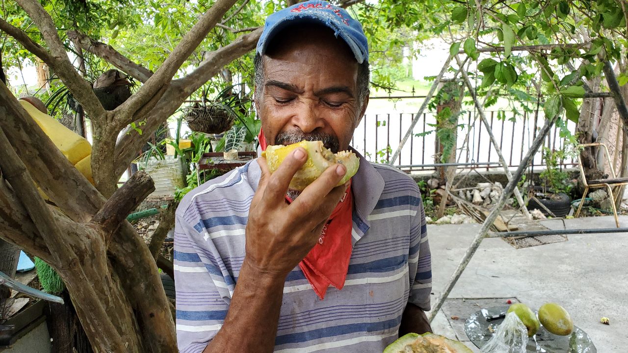Mr. Hayle Tasting the Giant Granadilla