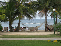 grand_lido_jamaica_coconut_trees