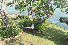 grand_lido_jamaica_tree