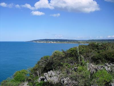 Great Pedro Buff, St. Elizabeth