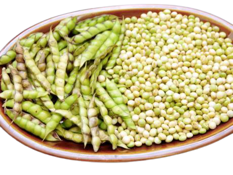 Jamaican Gungo Peas | Gungo Peas in Pod