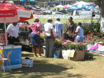 Hague Agricultural Show