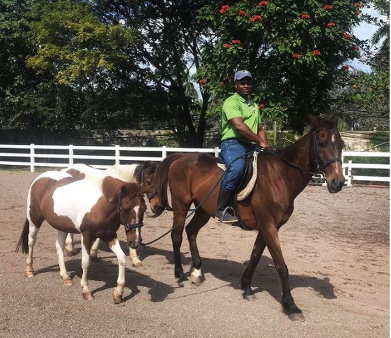 Half Moon Resort | Equestrian Centre