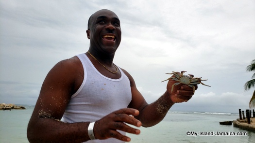 holiday_inn_resort_montego_bay_wellesley_with_crab