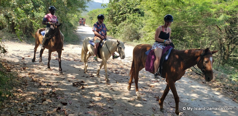 horseback_rides_in_jamaica_ocho_rios
