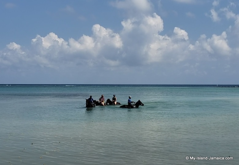 horseback_rides_in_water_jamaica