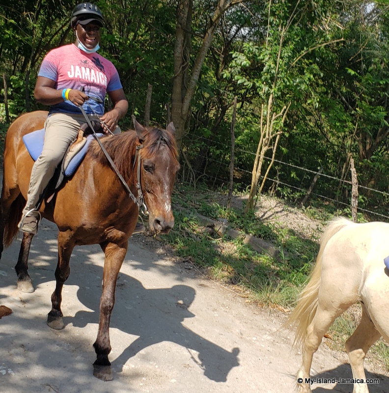 horseback_rides_in_jamica_wellesley
