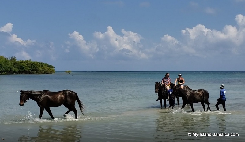 horseback_riding_in_sea_in_jamaica_chukka horseback_riding_in_sea_in_jamaica_chukka