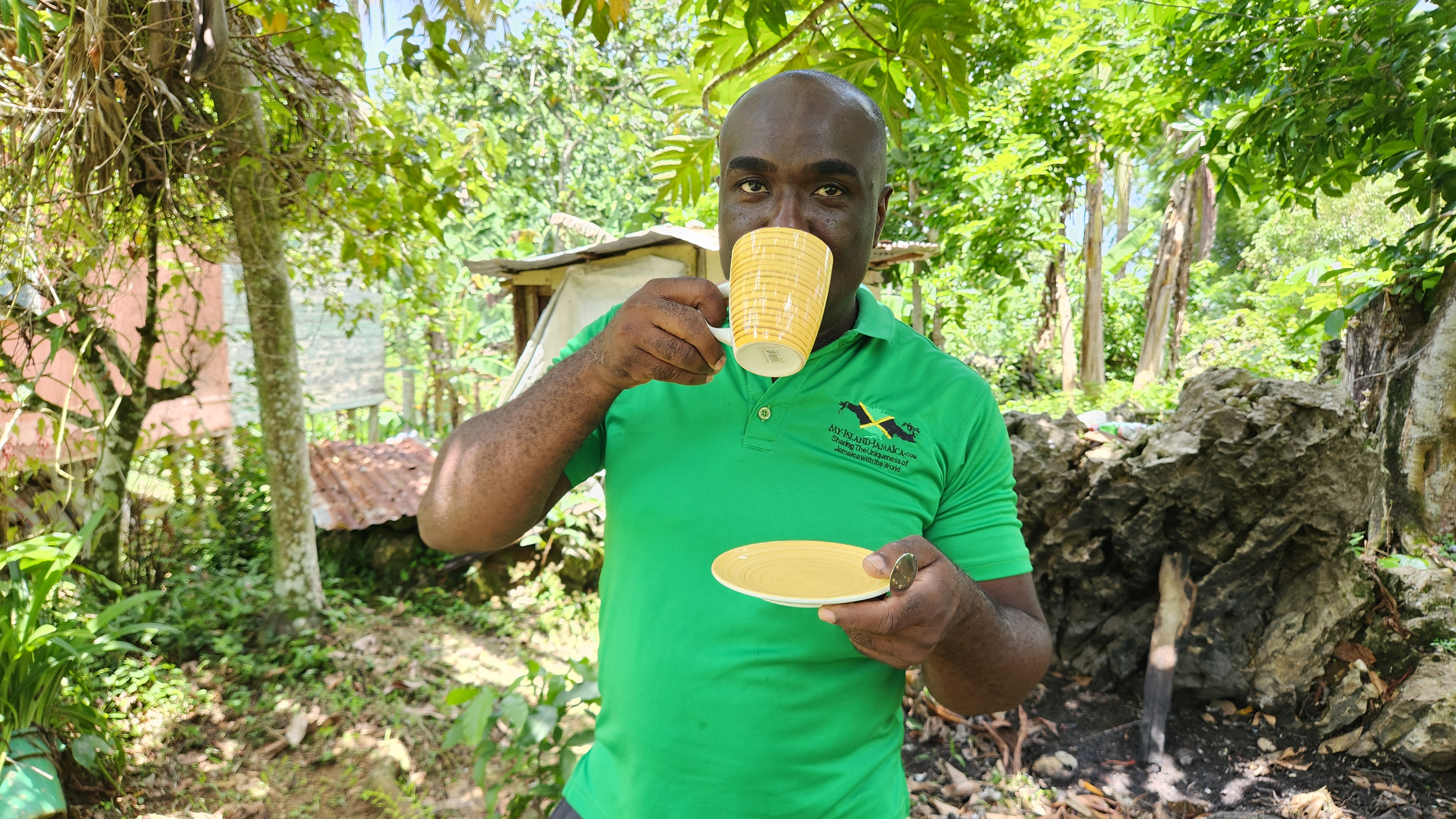 how_do_jamaicans_use_search_mi_heart