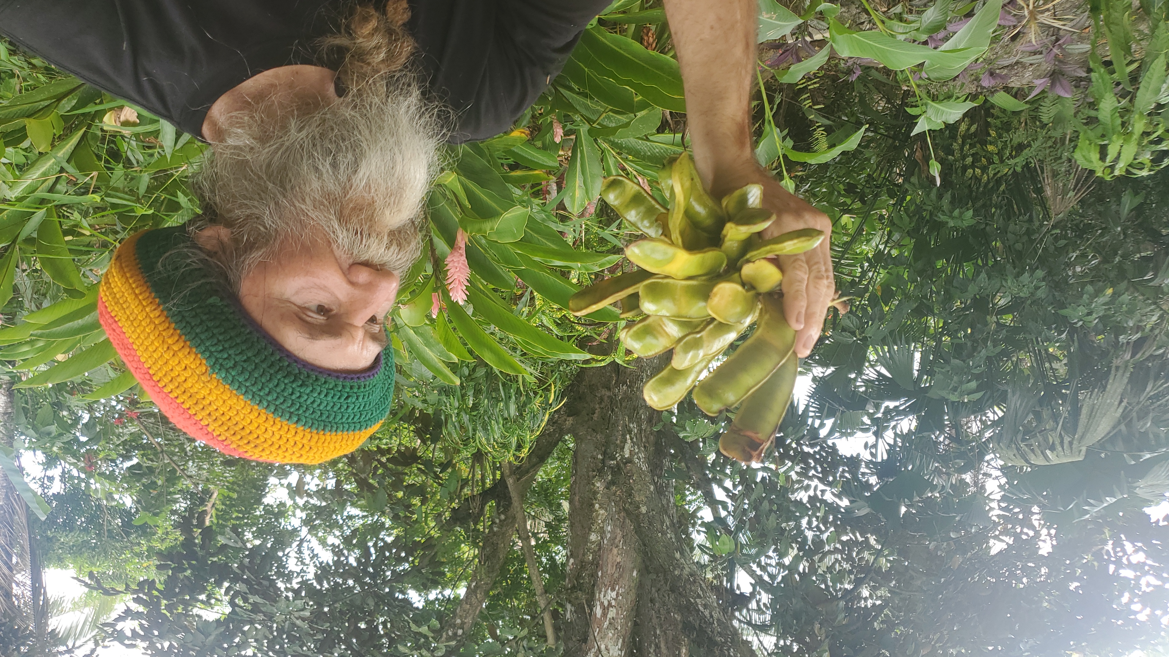 ice_cream_bean_jamaica_thomas ice_cream_bean_jamaica_thomas