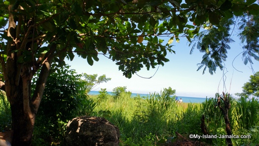 international_coastal_cleanup_day_jamaica_2019