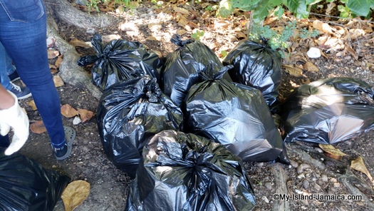 international_coastal_cleanup_day_jamaica_black_garbage_bags.