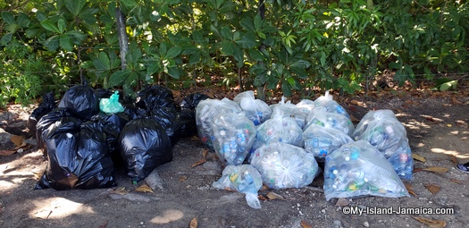 international_coastal_cleanup_day_jamaica_debris_seperated