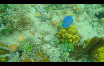 Beautiful underwater scenery and caves