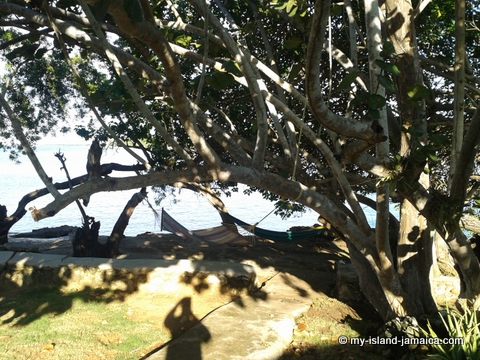 jamaica_beach_house_little_bay_cabins_seaside_trees