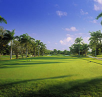 Jamaica Golf -Half Moon Course