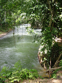 rivières en jamaïque - martha brae rafting