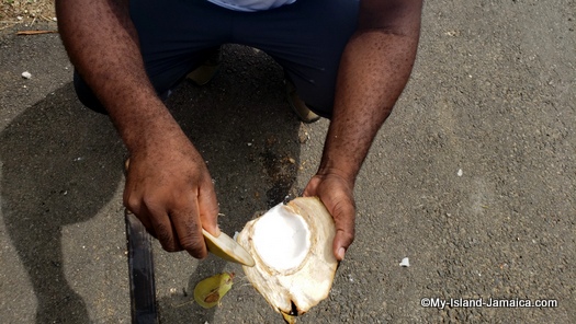 jamaica_road_trip_jelly_coconut_meat