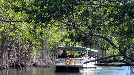 jamaica_tour_boat_on_the_black_river