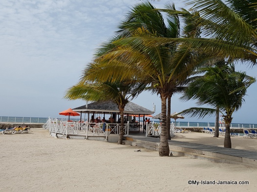 jamaica_vacation_wellesley_anniversary_2018_coconut_trees