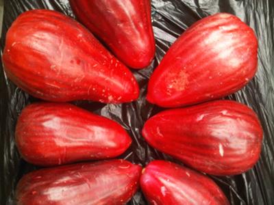 Jamaican Apples -just bought at the market