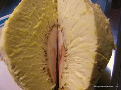 Jamaican Breadfruit - Roasted.