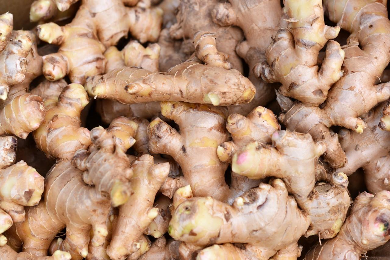 Health Benefits Of Jamaican Ginger | Image Source: www.fao.org