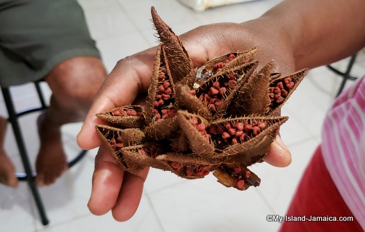 jamaican annatto pods