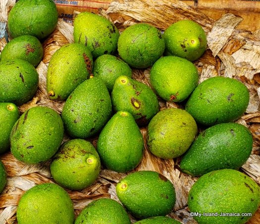 Jamaican Avocado in the Charles Gordon Market, during a raining day