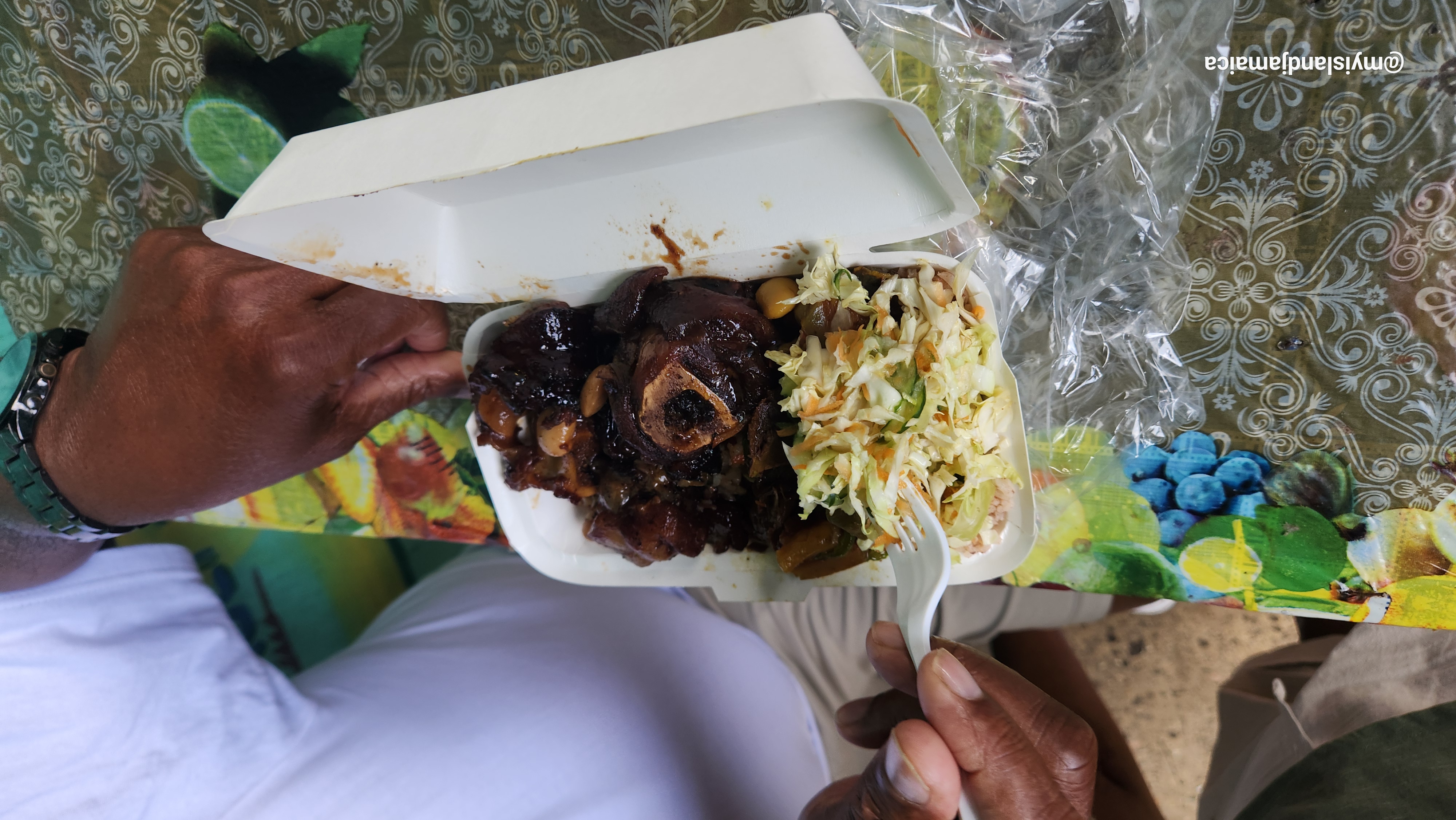 jamaican_box_food_oxtail