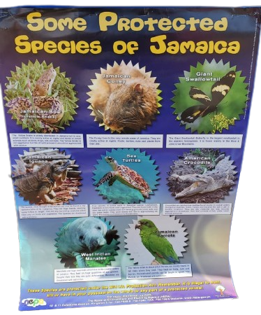 jamaican_endangered_species_extinct