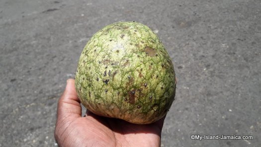 Jamaican Mountain Sop Fruit