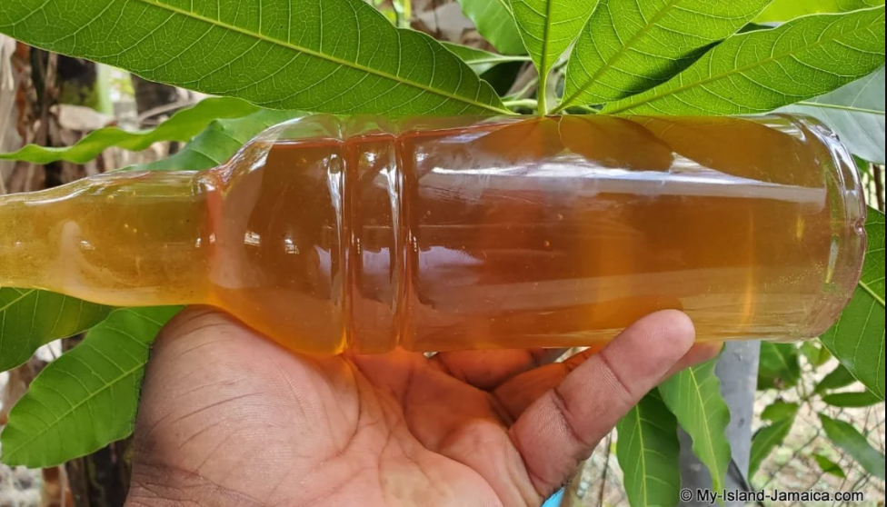 Jamaican Honey