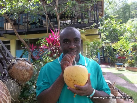 Coconut Water | Jamaican Drinks Non Alcoholic Options