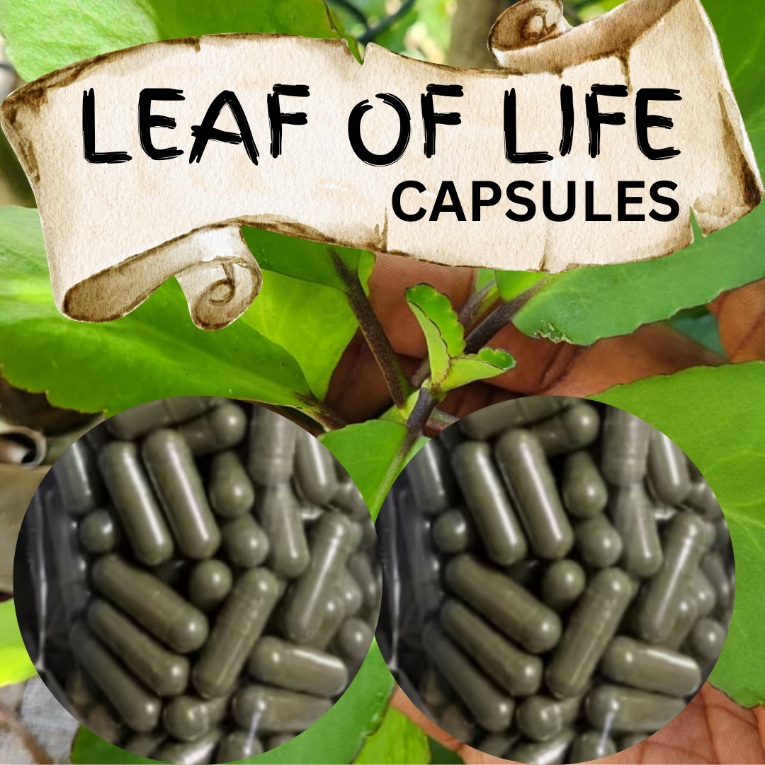 jamaican_leaf_of_life_capsules