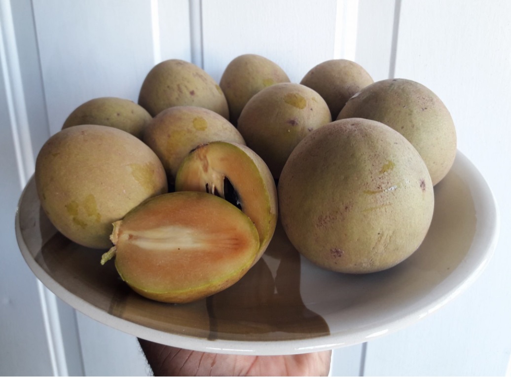 Most Eaten Fruits In Jamaica The Fruits Jamaicans REALLY Love