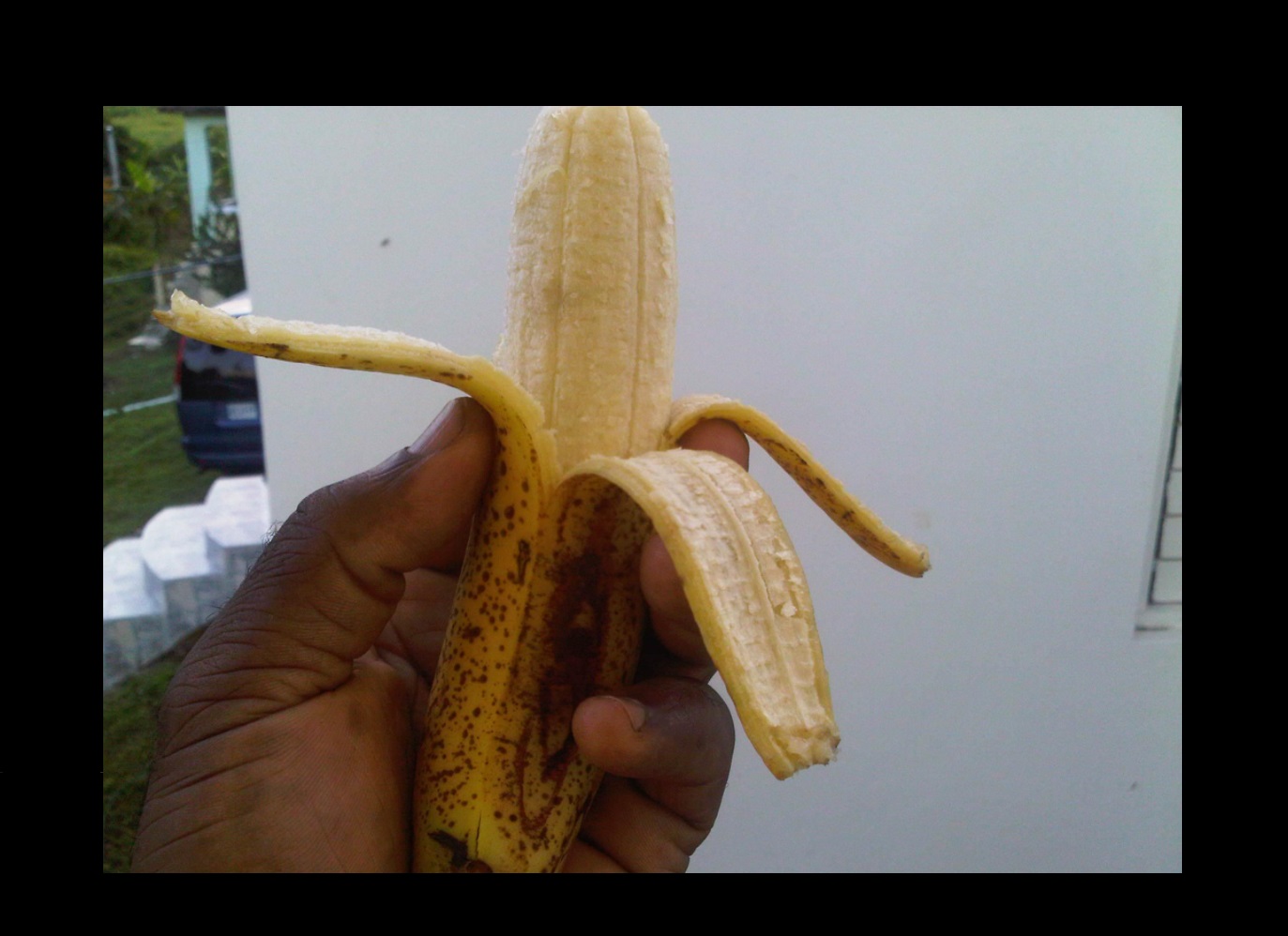 Jamaican Ripe Banana