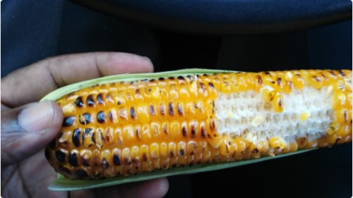 Roasted Corn