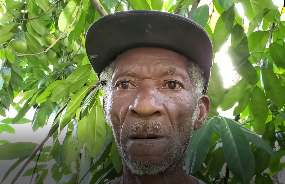 The True History of Jamaica From Taino To Independence