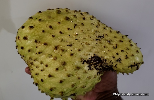 Jamaican soursop ripe for juice