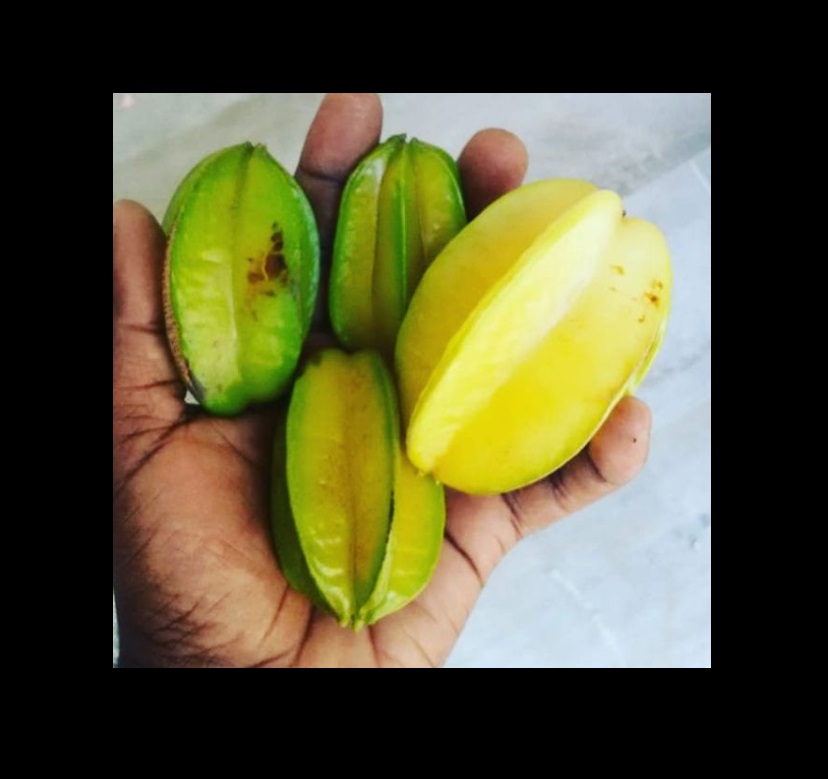 Traditional Jamaican Fruits
