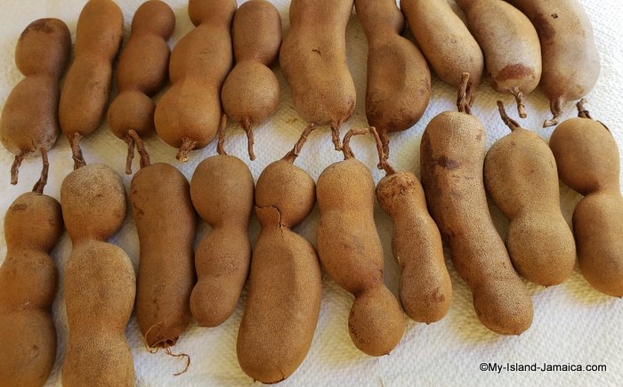 jamaican_tamarind_seeds