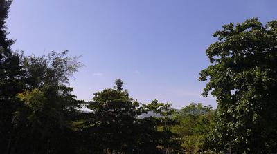 Jamaican Hills and Plains